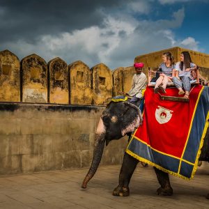 Elephant Village​ | Pink City Ride